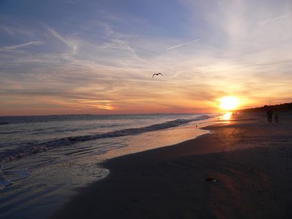 Horry (Central and South) County--Myrtle Beach City PUMA, SC